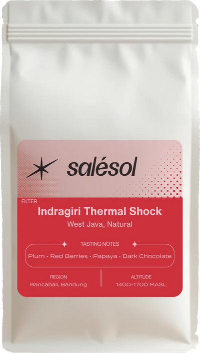 Indragiri Thermal Shock bag