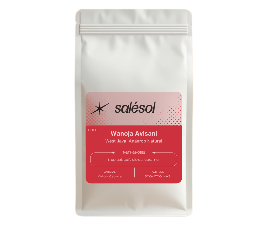 Wanoja Avisani Yellow Caturra | Anaerob Natural