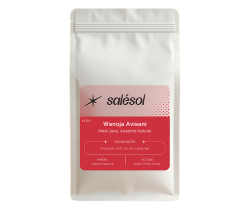 Wanoja Avisani Yellow Caturra | Anaerob Natural