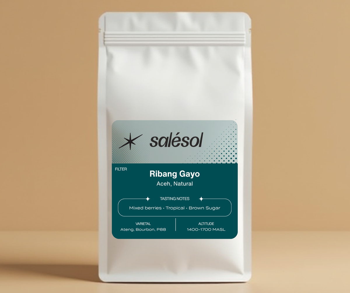 Salésol 200 g bag of Ribang Gayo