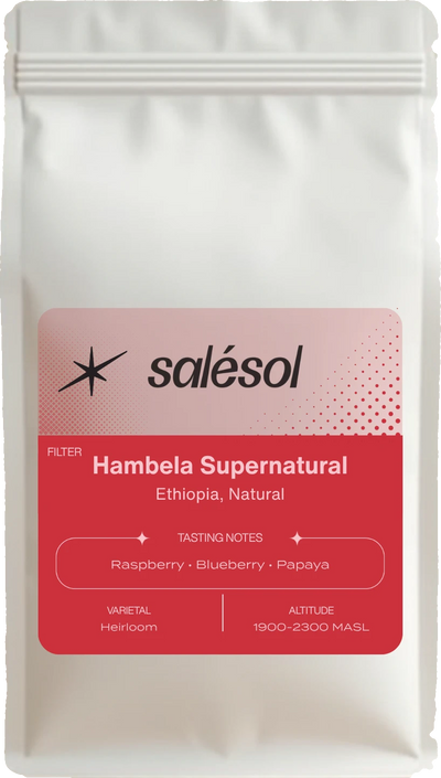 Hambela Supernatural bag